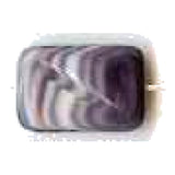 Wampum 5081 quahog shell