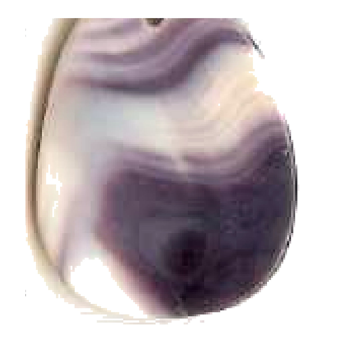 Wampum 5295 quahog shell