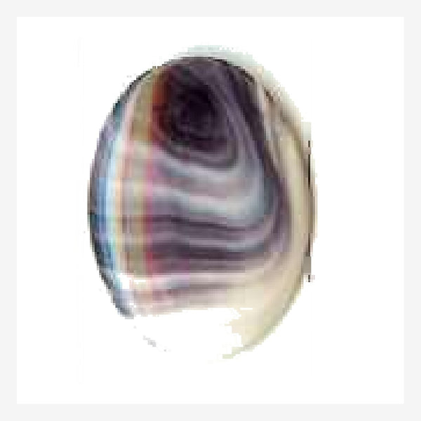 5532 Wampum oval cabochon
