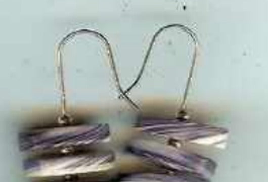 E6005 wampum